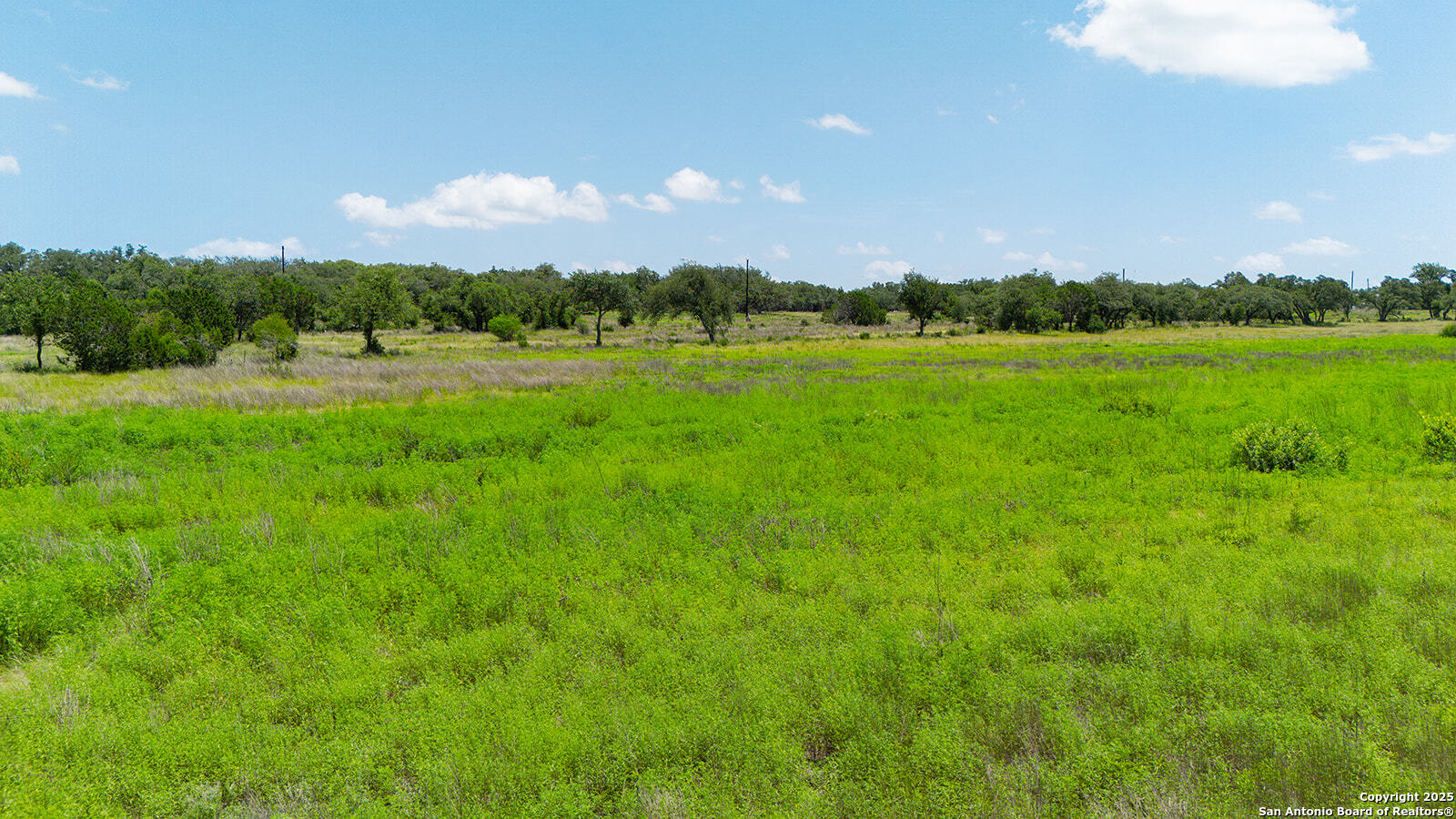 670 Windmill Ridge Blanco TX 78606