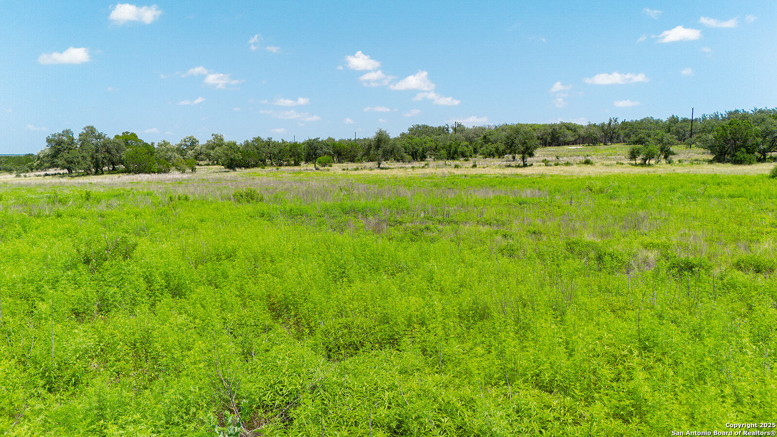 670 Windmill Ridge Blanco TX 78606