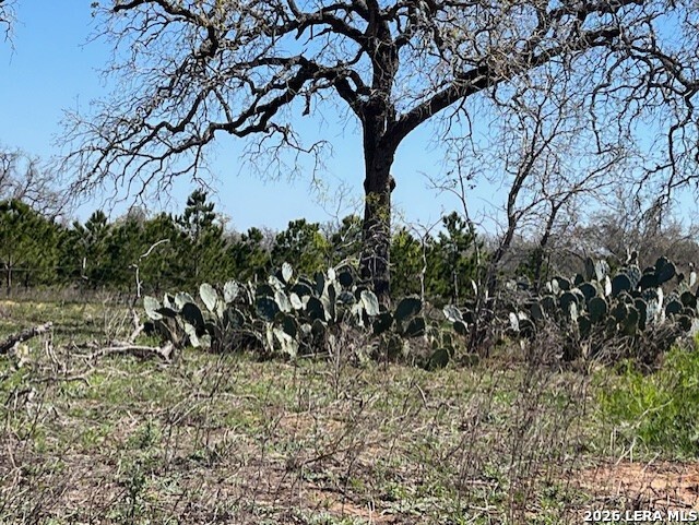 6611 Fm 1681 Stockdale TX 78160