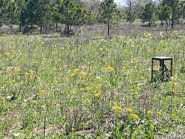 6611 Fm 1681 Stockdale TX 78160