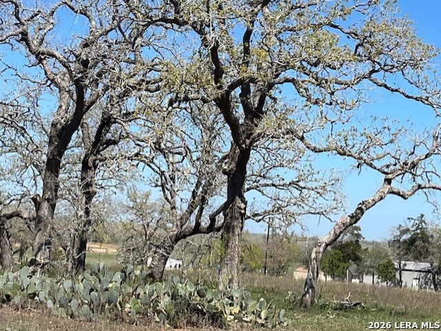 6611 Fm 1681 Stockdale TX 78160