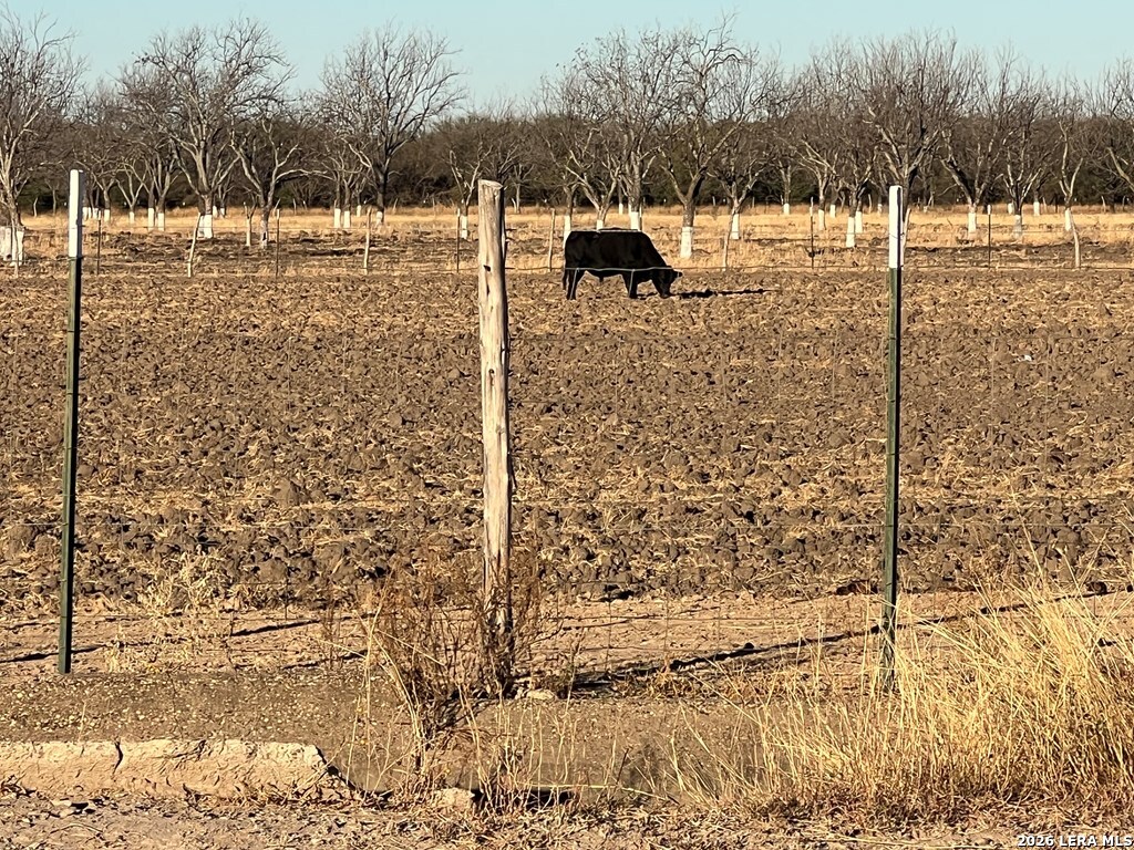 Lot C Fm 1908 Quemado TX 78877