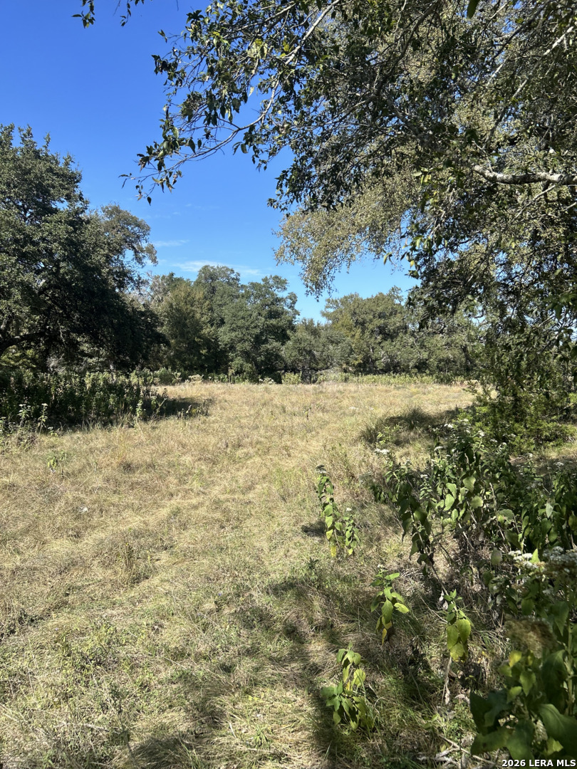 31303 Smithson Valley Road Bulverde TX 78163