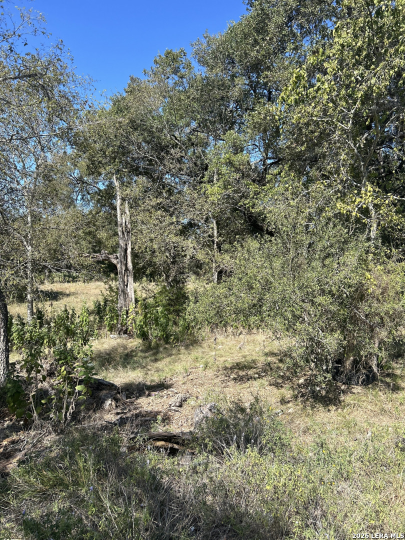 31303 Smithson Valley Road Bulverde TX 78163