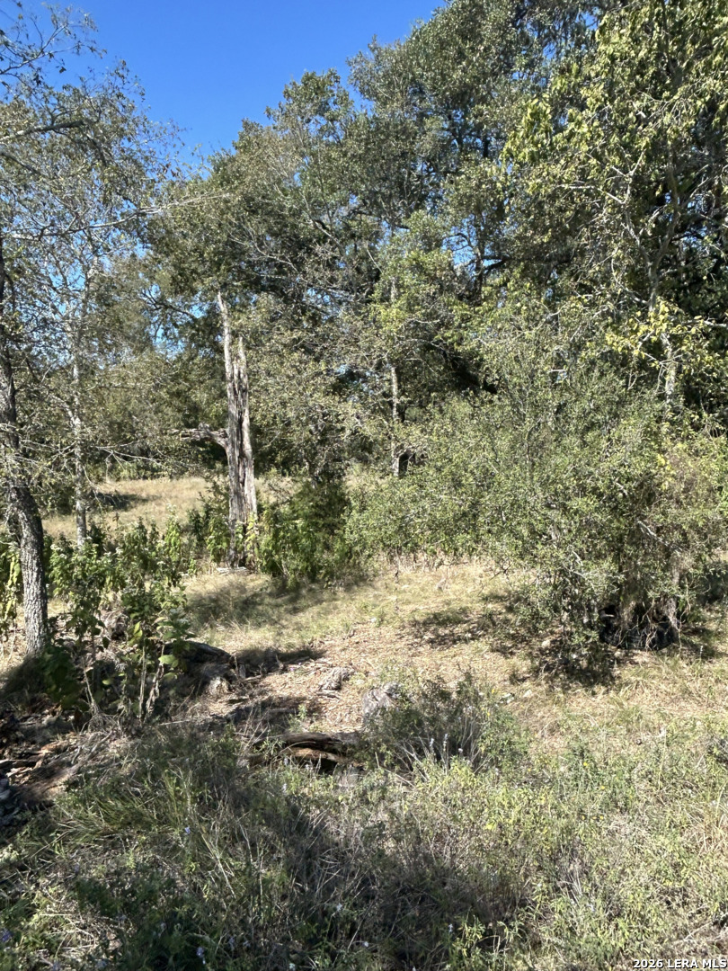 31303 Smithson Valley Road Bulverde TX 78163