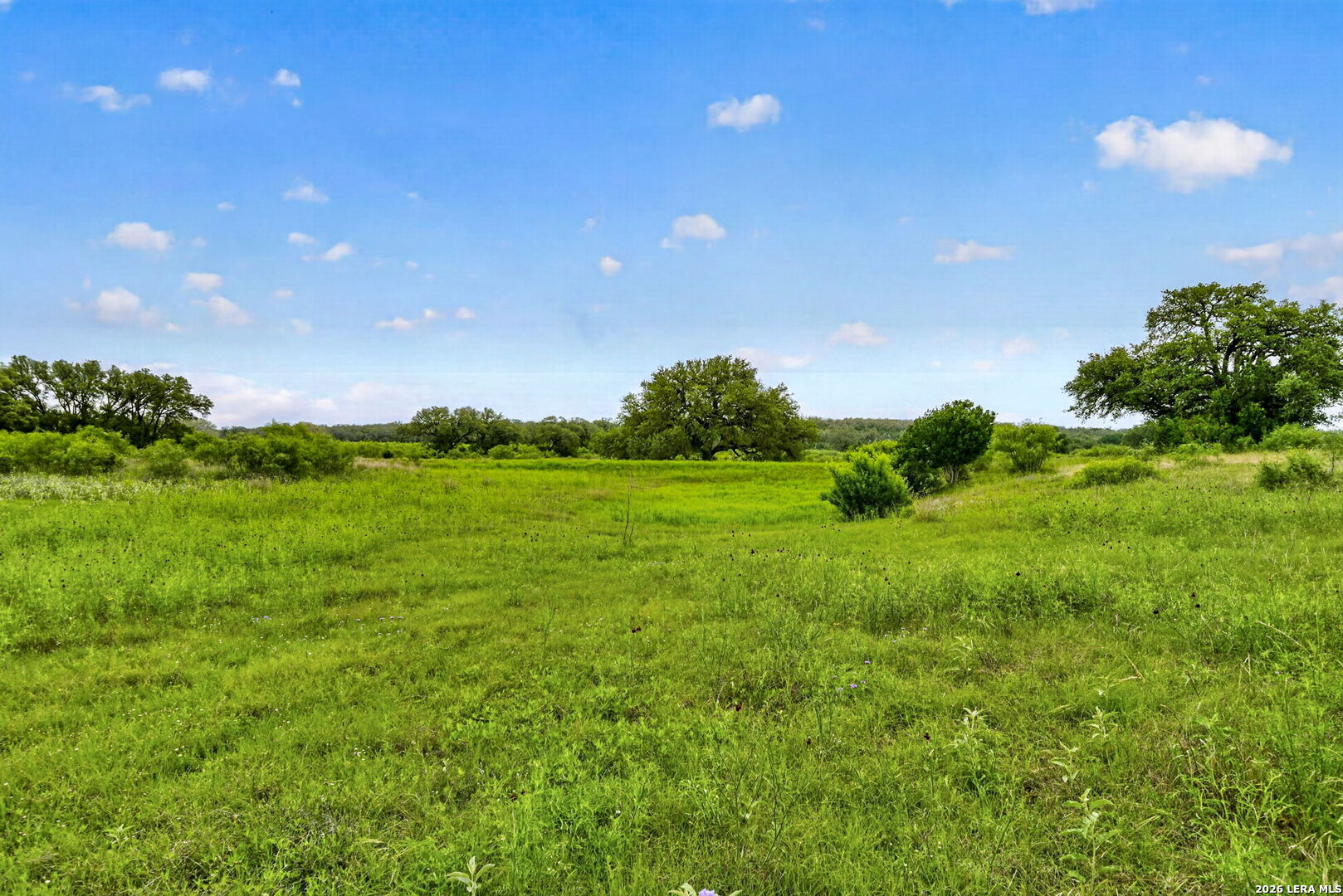 Tbd Fm 1796 Dhanis TX 78850