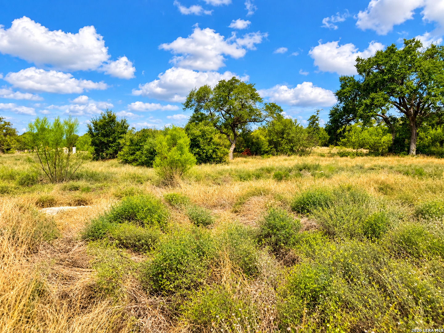 26003 Cotaco Creek Boerne TX 78006