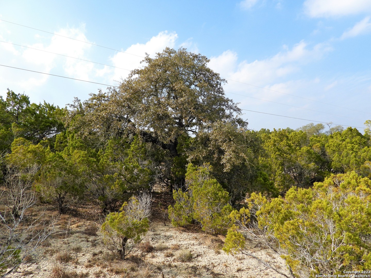 Lot 13 Johnson Road Lakehills TX 78063