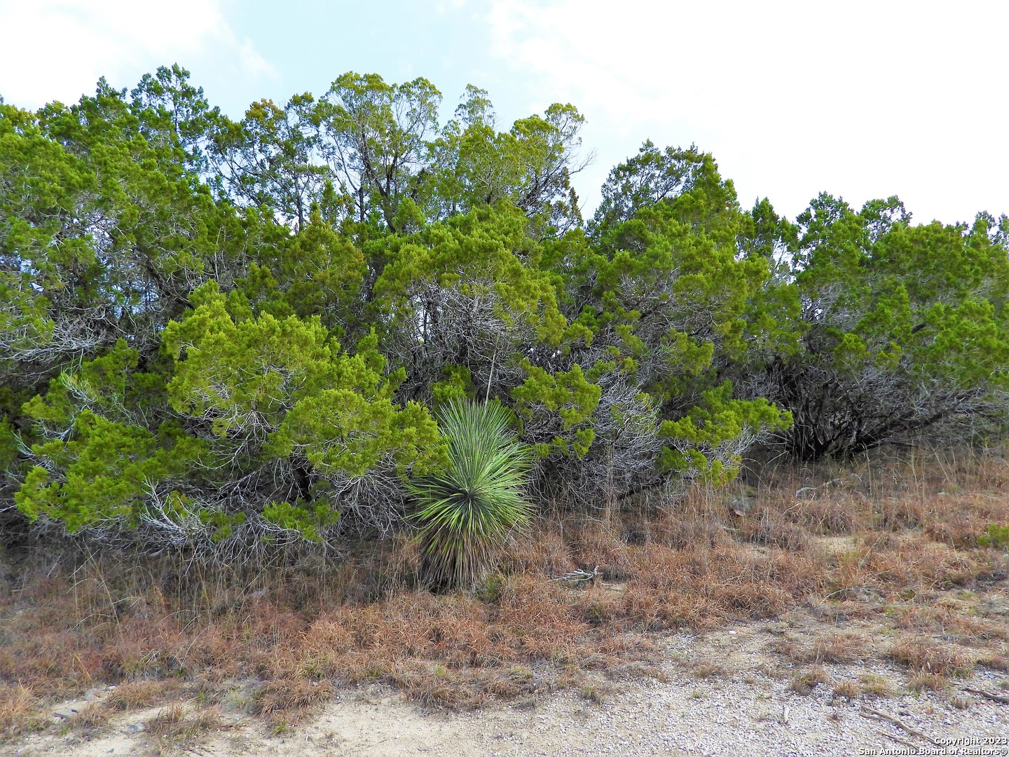Lot 13 Johnson Road Lakehills TX 78063