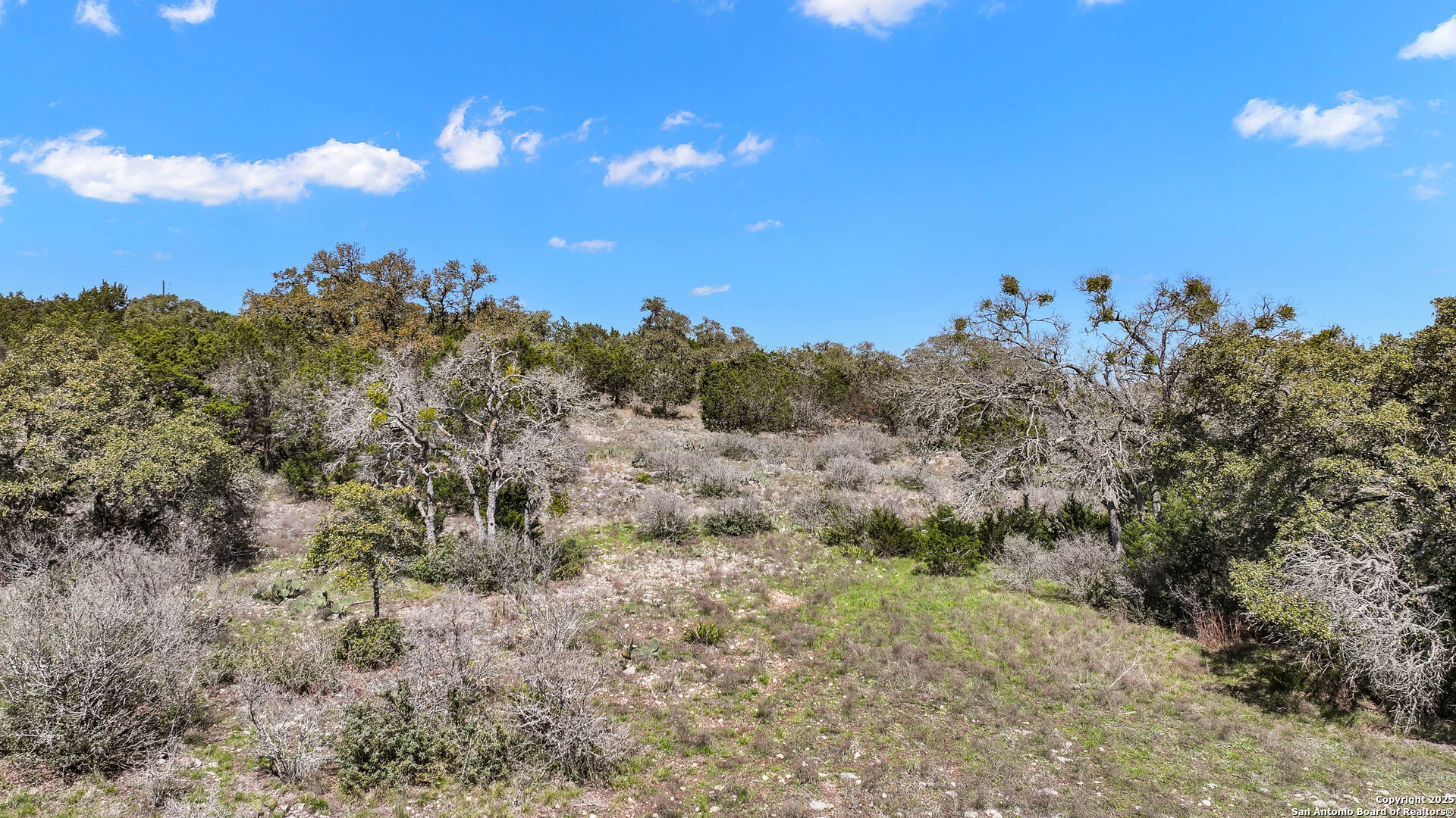 198 Lily Street Spring Branch TX 78070