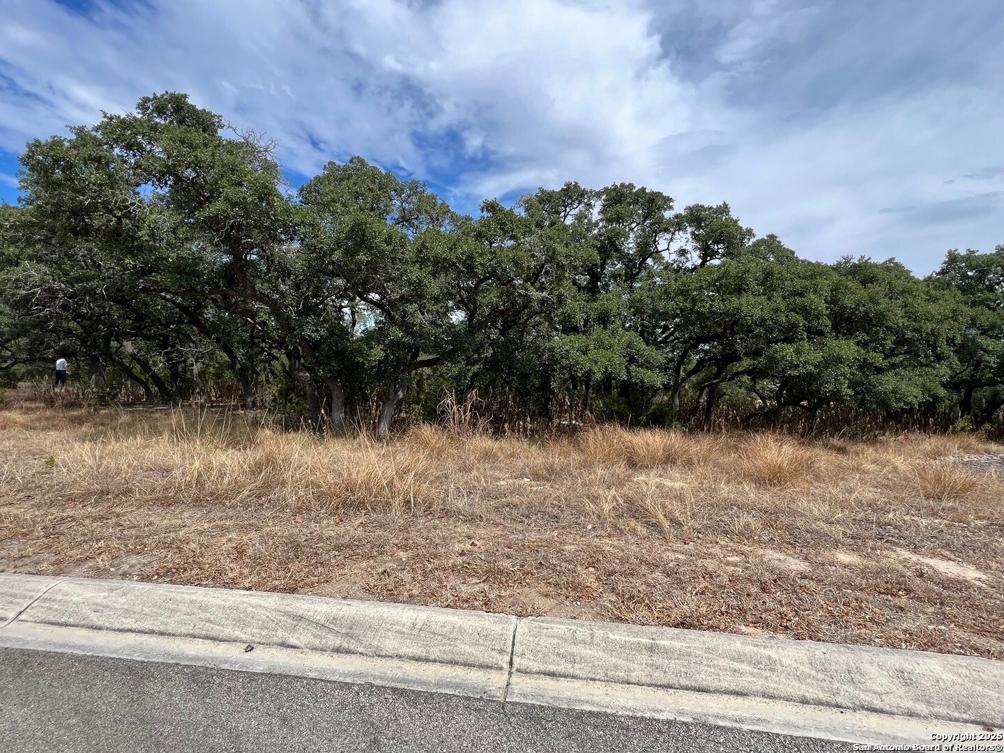 Lot 29 Alberi Boerne TX 78006