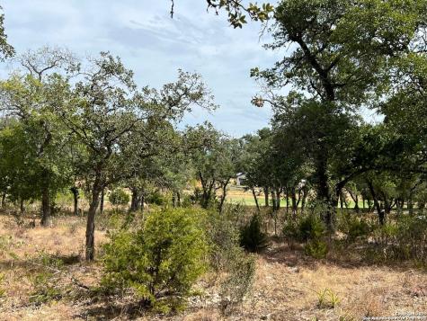 Lot 29 Alberi Boerne TX 78006