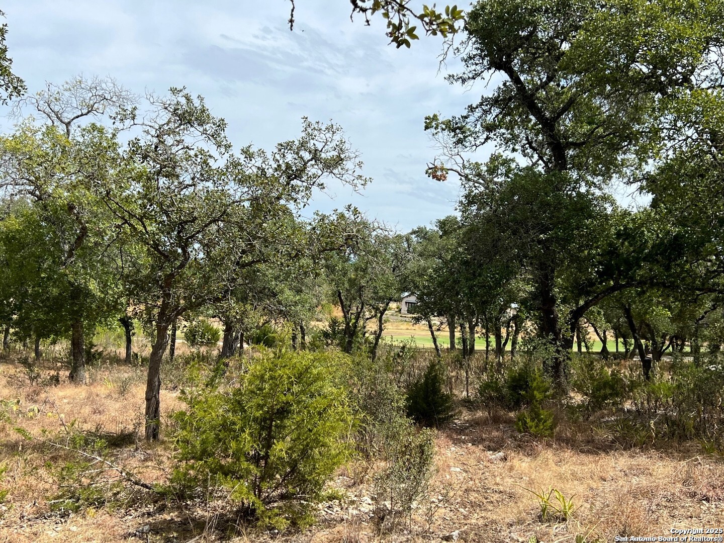 Lot 29 Alberi Boerne TX 78006