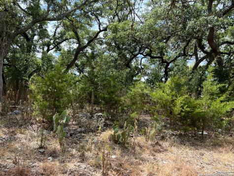 Lot 29 Alberi Boerne TX 78006