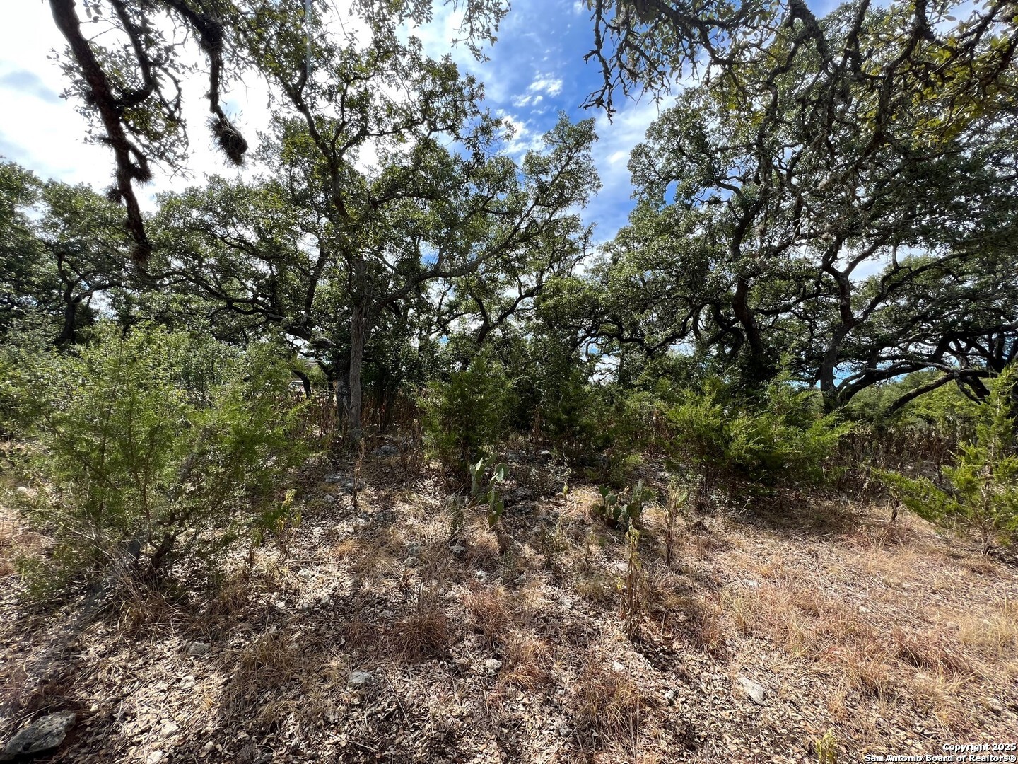 Lot 29 Alberi Boerne TX 78006