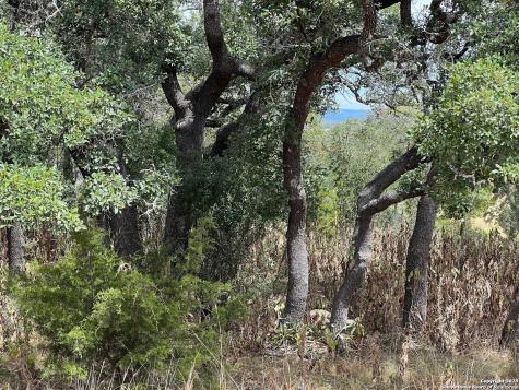 Lot 29 Alberi Boerne TX 78006