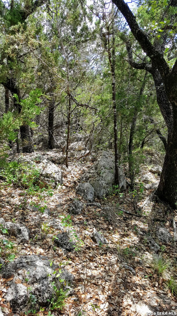 449 Coyote Trail Spring Branch TX 78070
