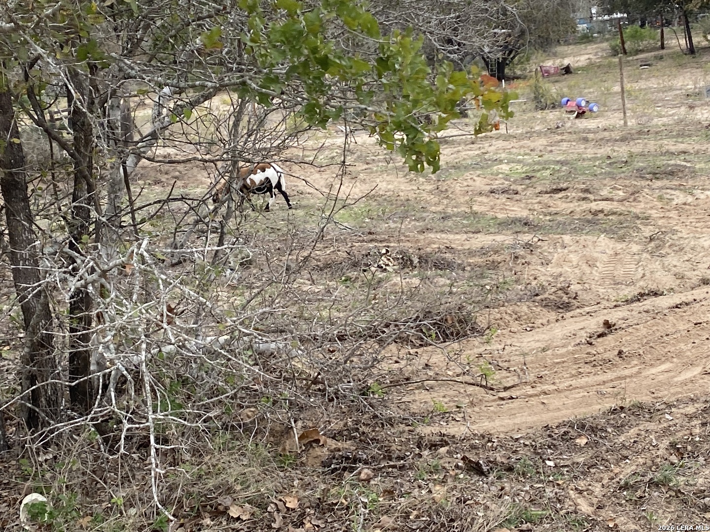184 County Road 781 Natalia TX 78059