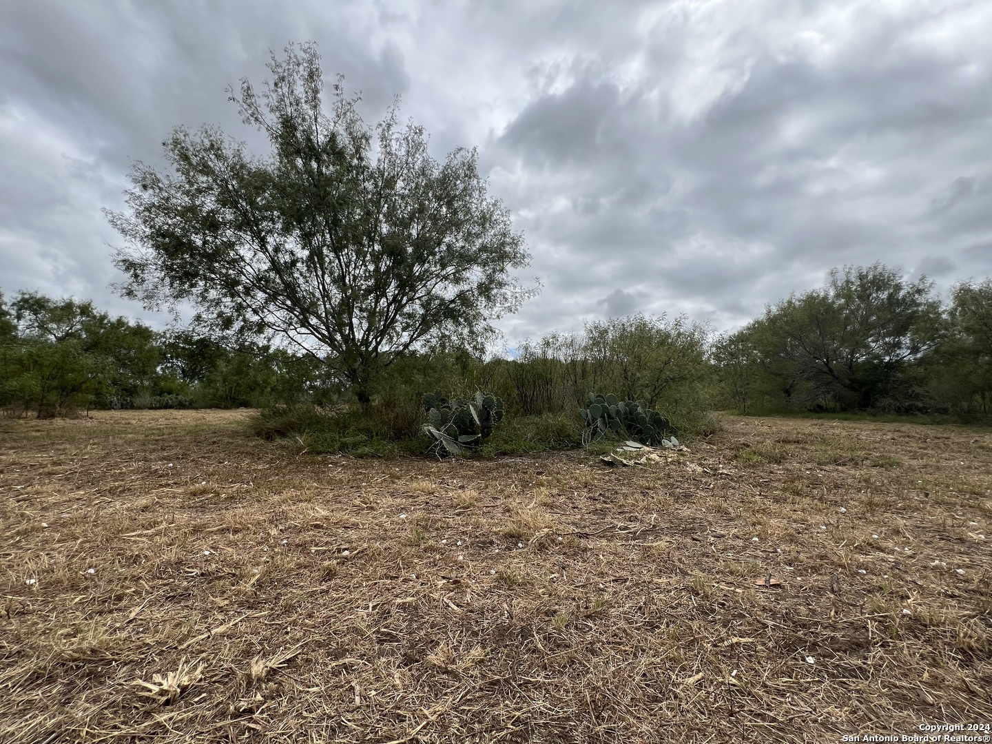 0 S Highway 281 Pleasanton TX 78064