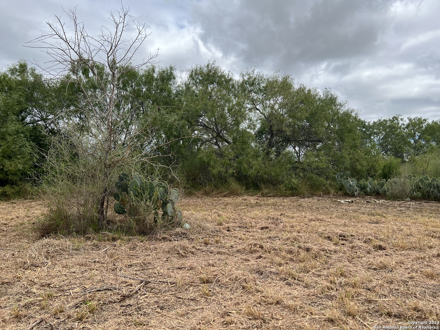 0 S Highway 281 Pleasanton TX 78064