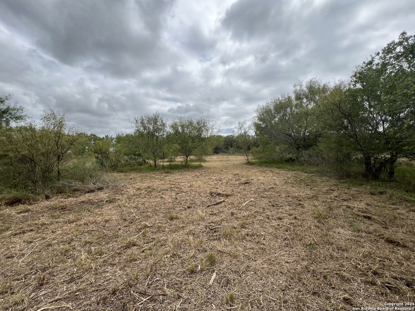 0 S Highway 281 Pleasanton TX 78064