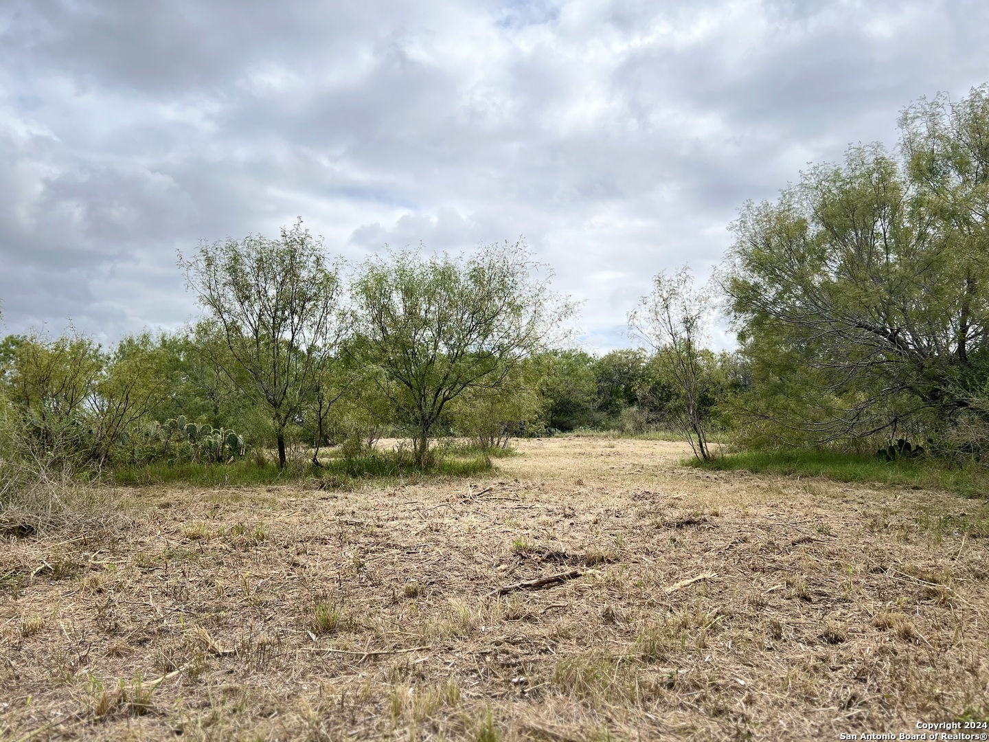 0 S Highway 281 Pleasanton TX 78064