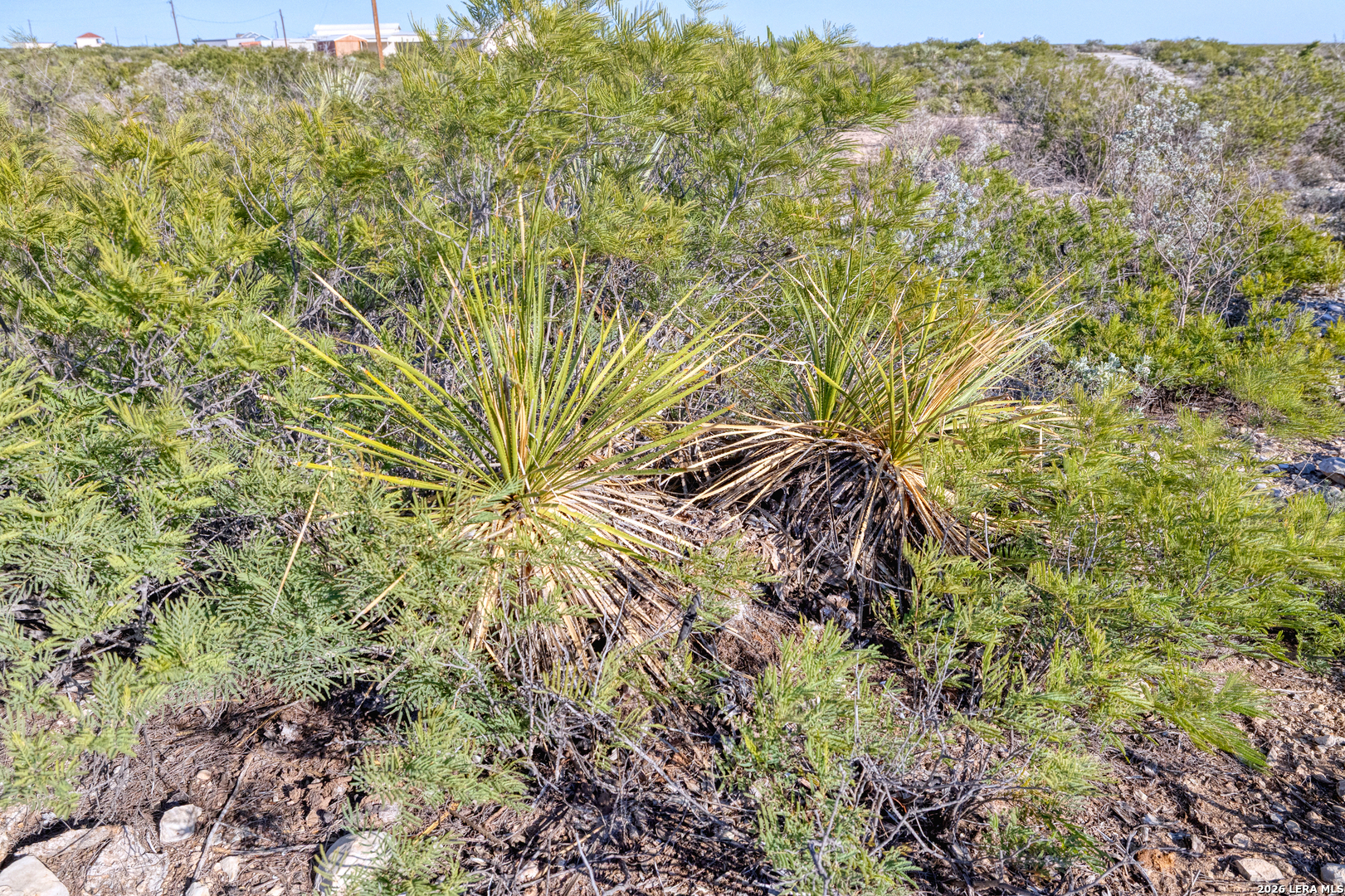 Tbd Salem Point Drive Del Rio TX 78837