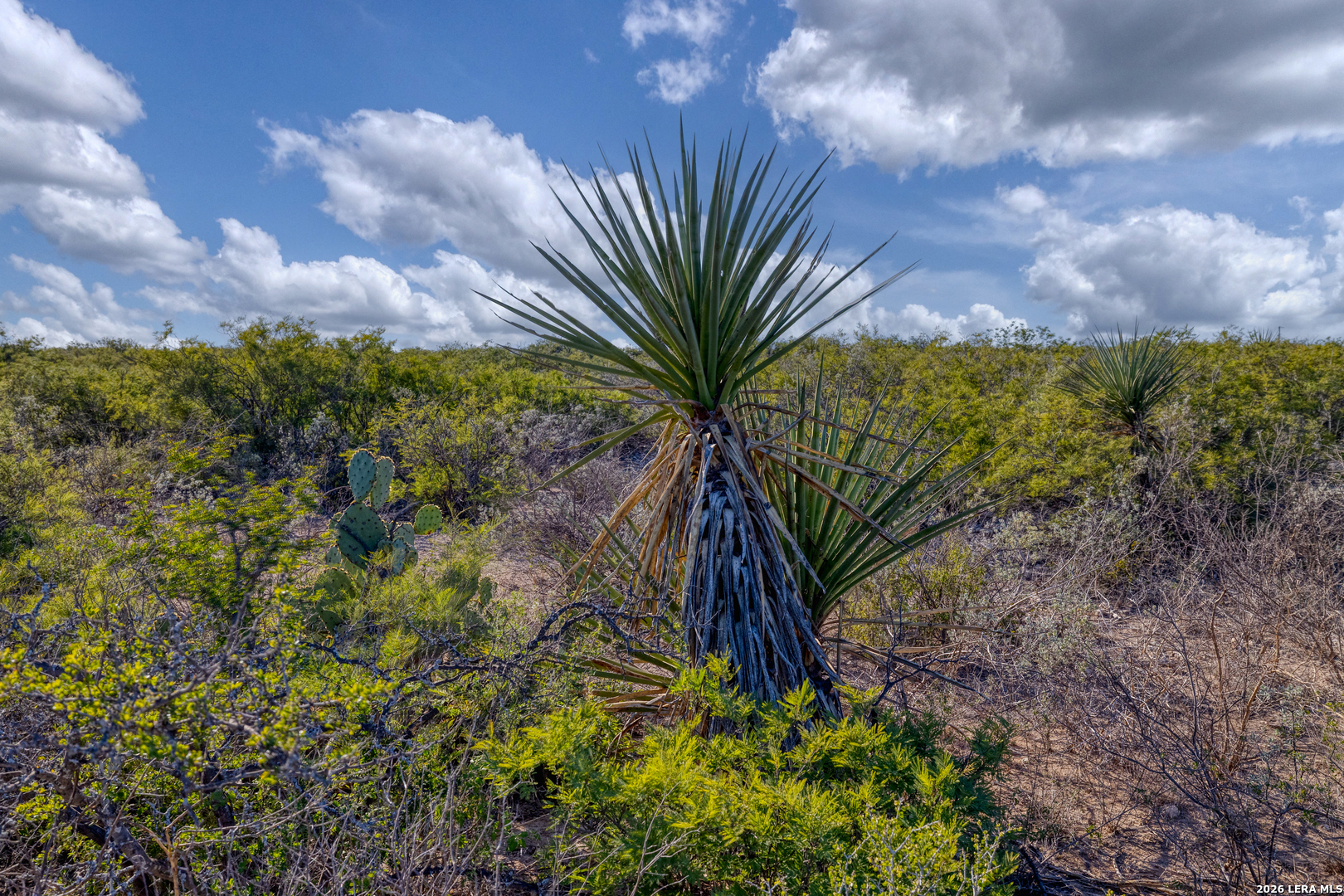 Tbd Salem Point Drive Del Rio TX 78837
