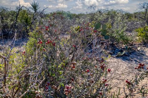 Tbd Salem Point Drive Del Rio TX 78837