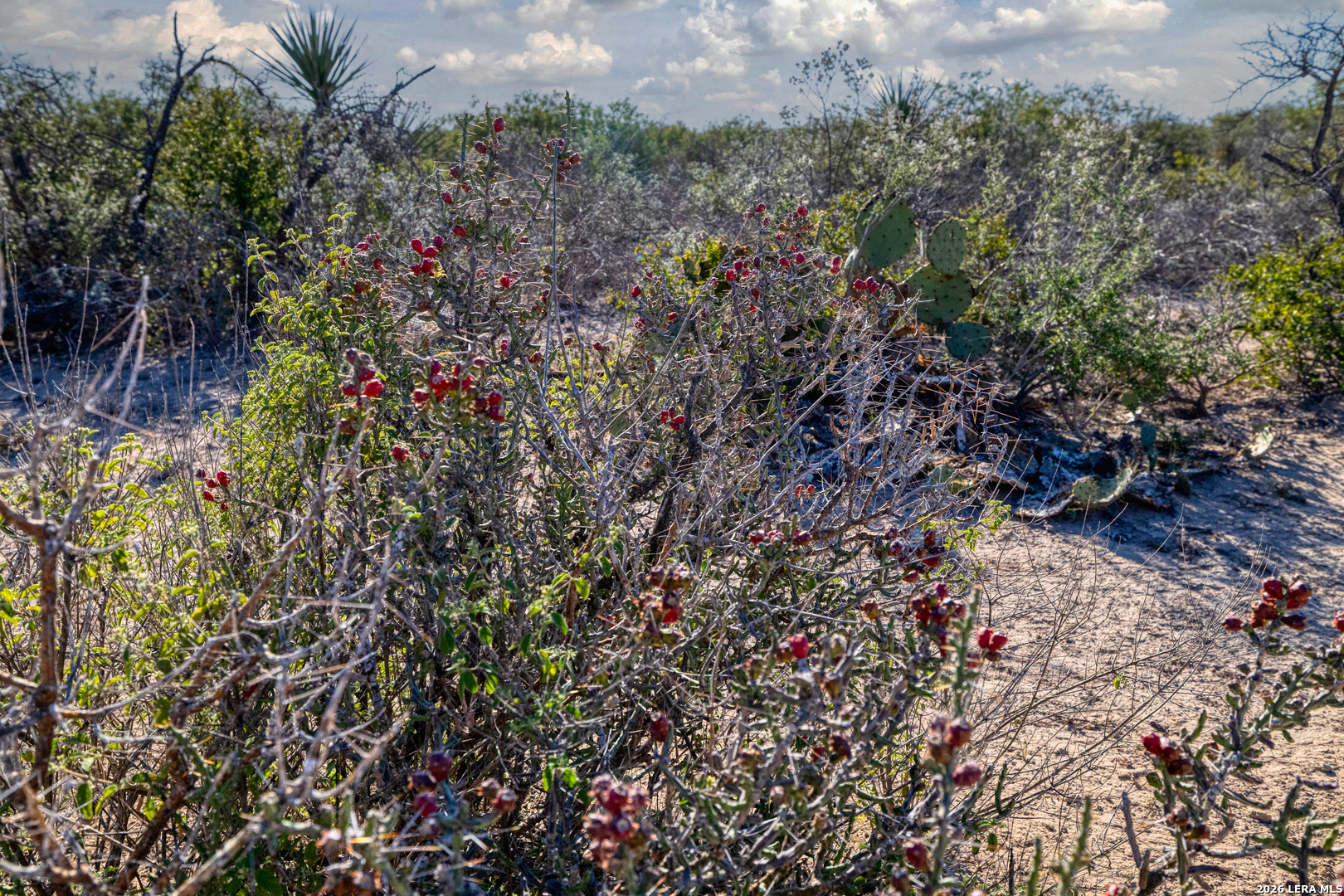 Tbd Salem Point Drive Del Rio TX 78837