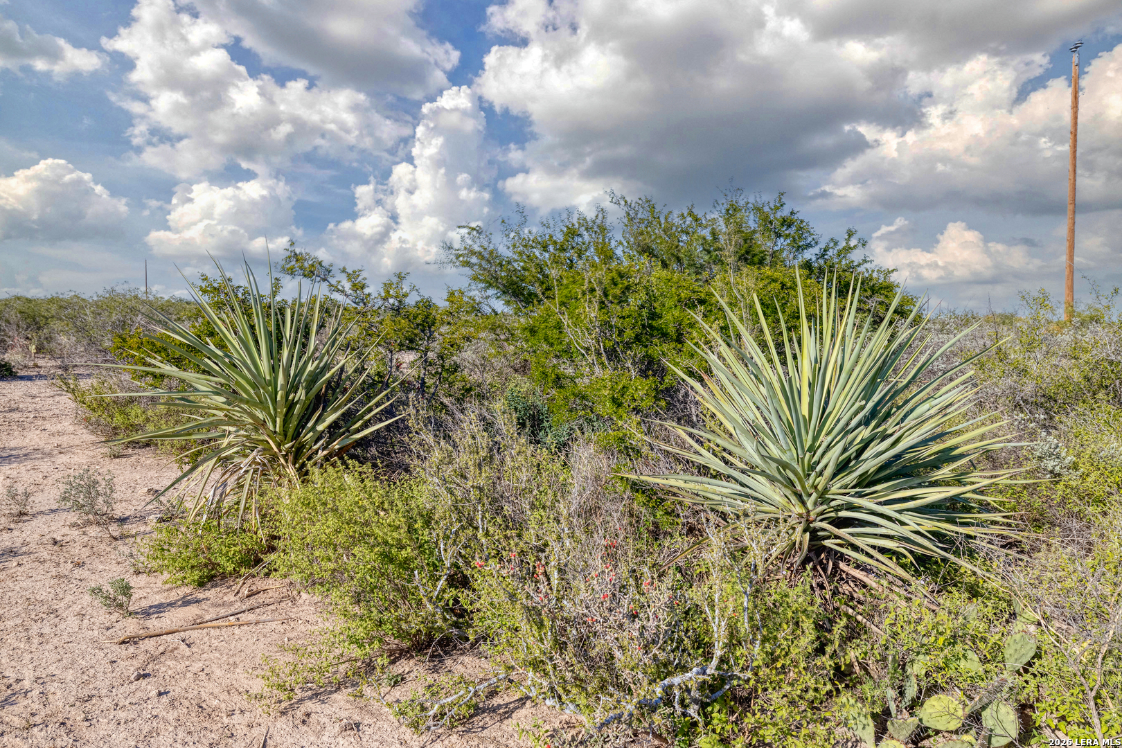 Tbd Salem Point Drive Del Rio TX 78837
