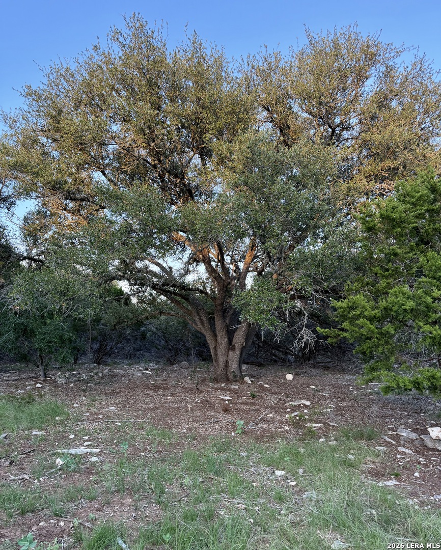 Tbd Melodia Boerne TX 78006