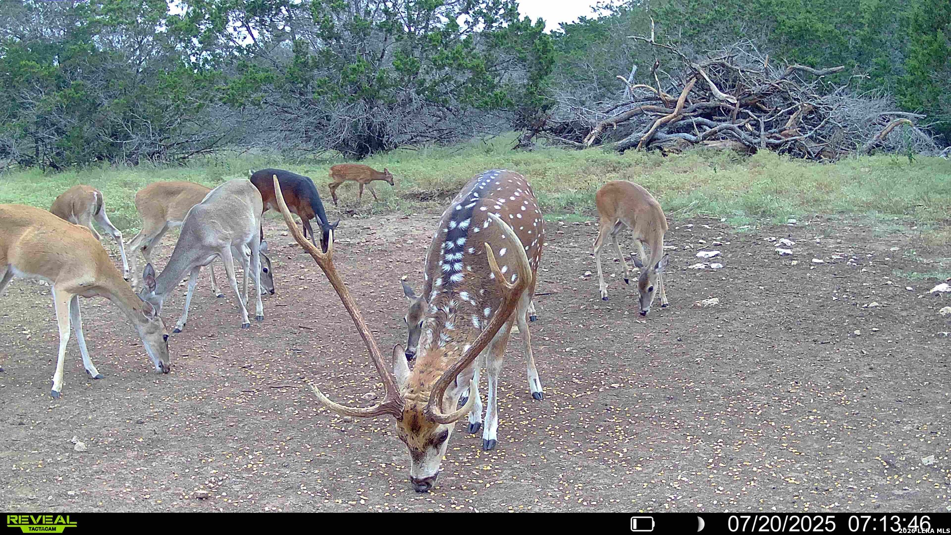 Tbd Melodia Boerne TX 78006