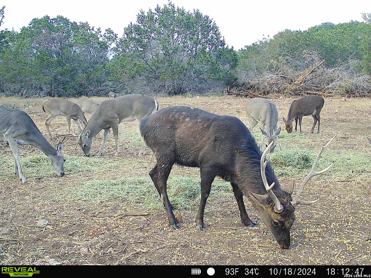 Tbd Melodia Boerne TX 78006