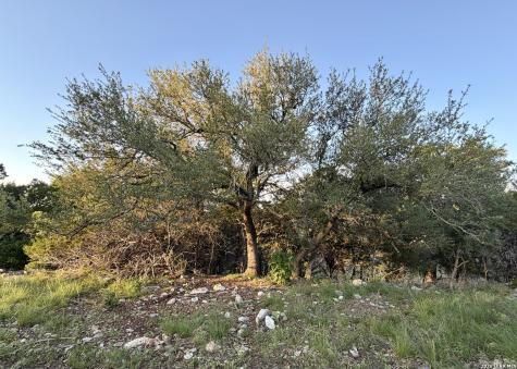 Tbd Melodia Boerne TX 78006