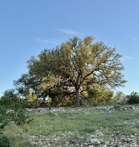 Tbd Melodia Boerne TX 78006