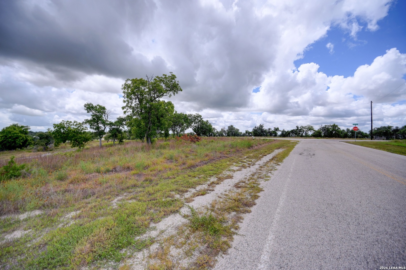 130 Falling Leaves Court Blanco TX 78606
