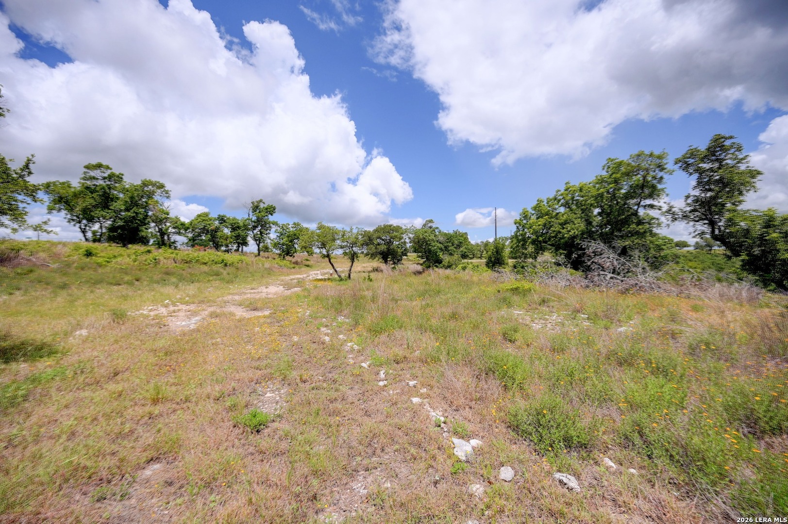 130 Falling Leaves Court Blanco TX 78606