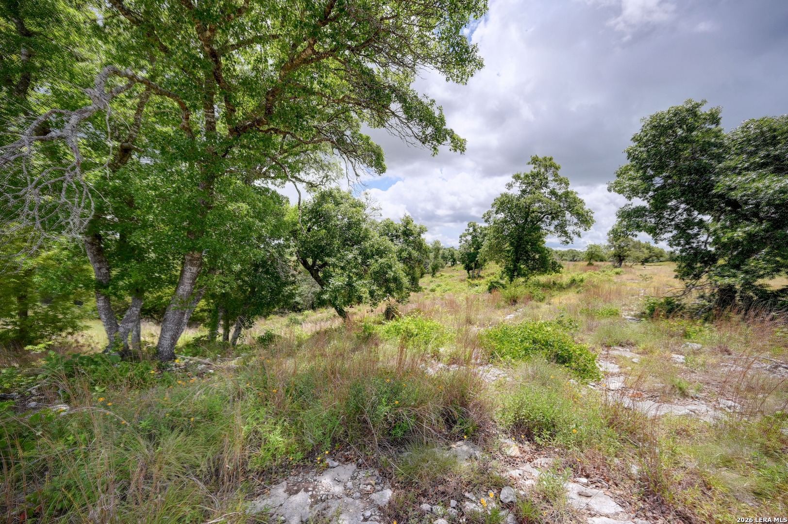 130 Falling Leaves Court Blanco TX 78606