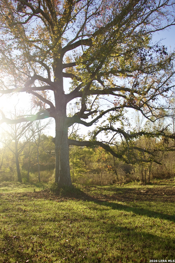 5145 Private Road Palestine TX 75803