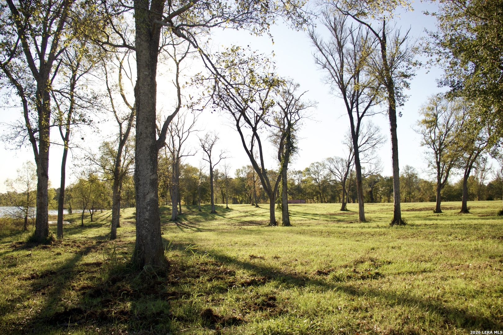 5145 Private Road Palestine TX 75803