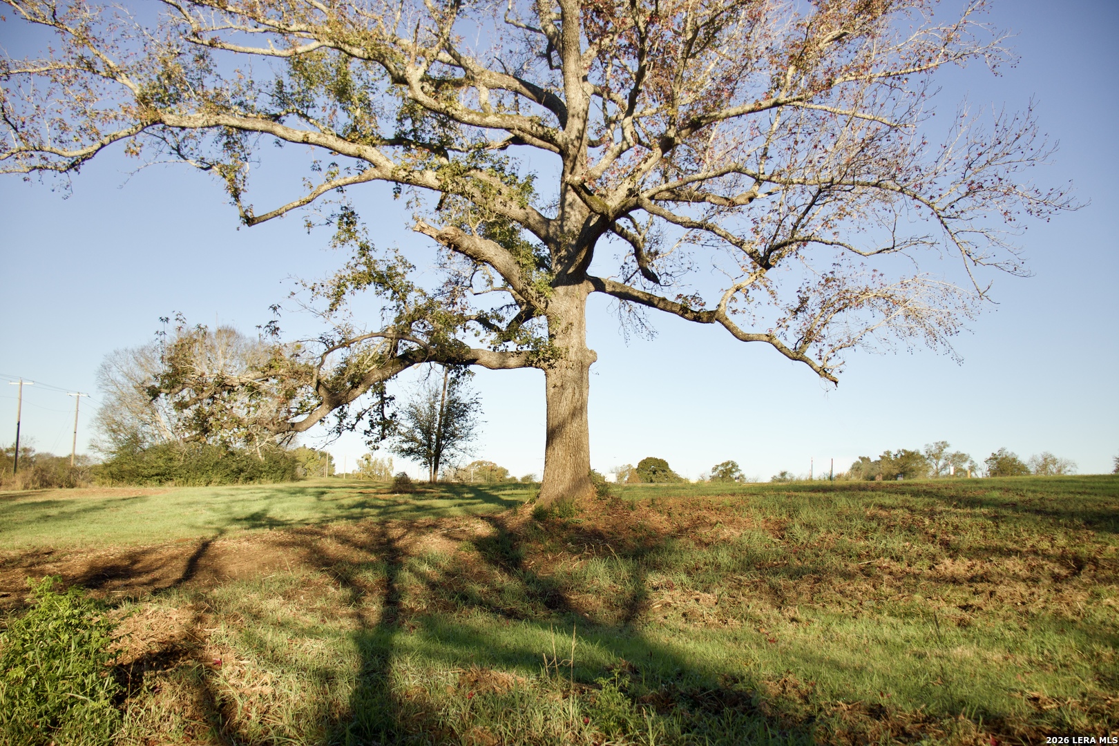 5145 Private Road Palestine TX 75803