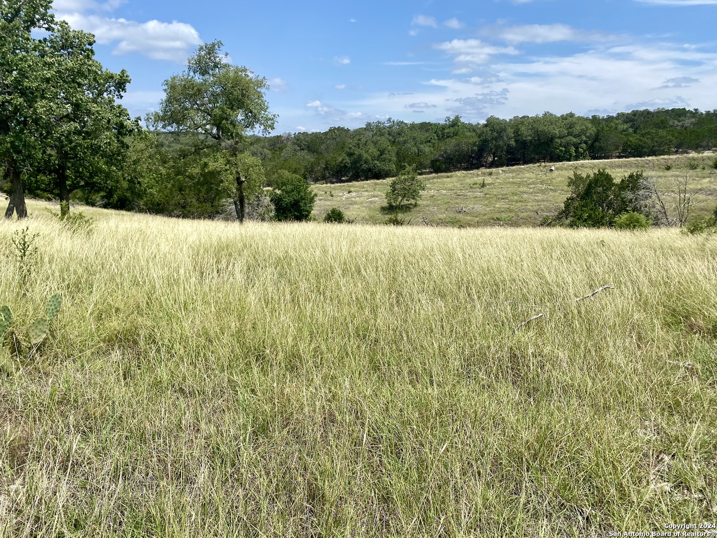 Lot 158 Cattlemans Crossing Kerrville TX 78028