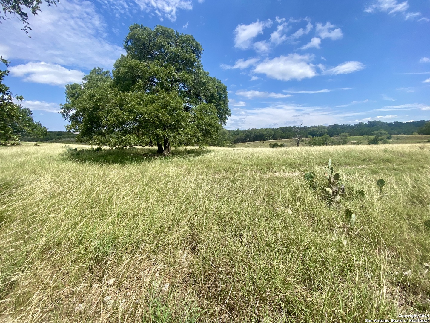 Lot 158 Cattlemans Crossing Kerrville TX 78028
