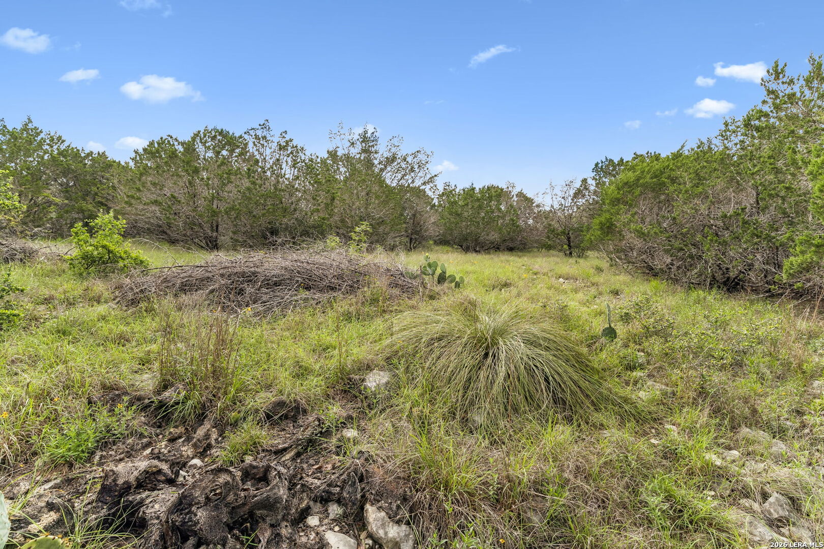 293 River Cliff Place Spring Branch TX 78070