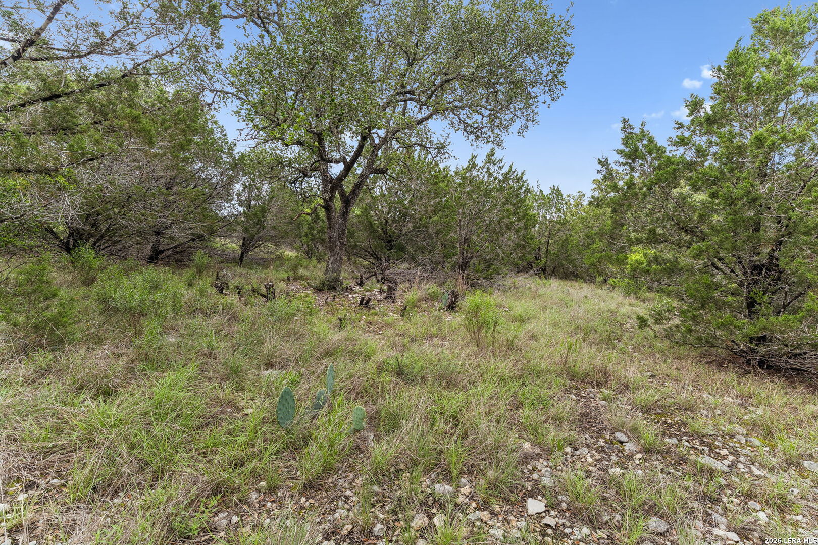 293 River Cliff Place Spring Branch TX 78070