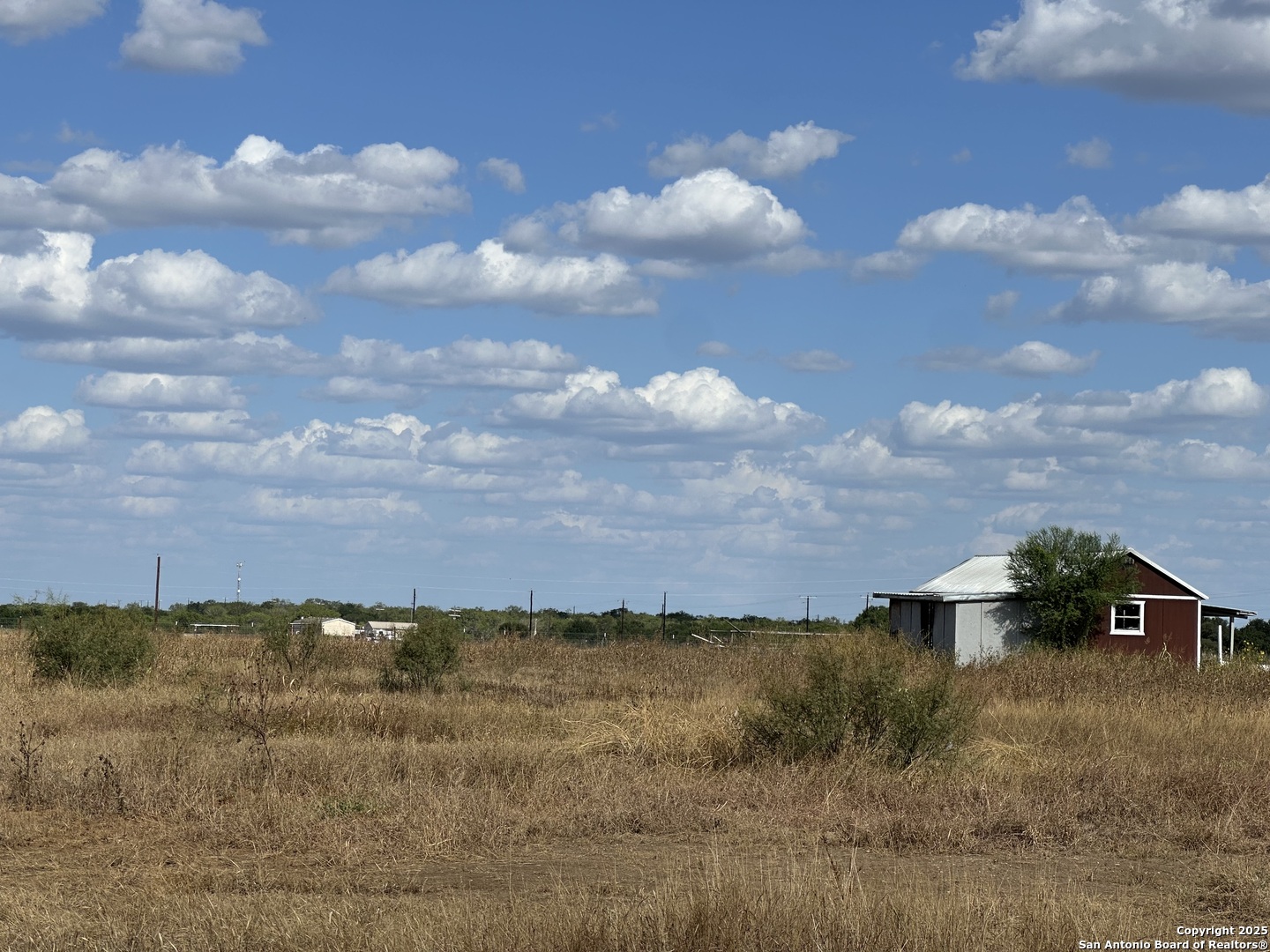 2267 Cr 430 Pleasanton TX 78064