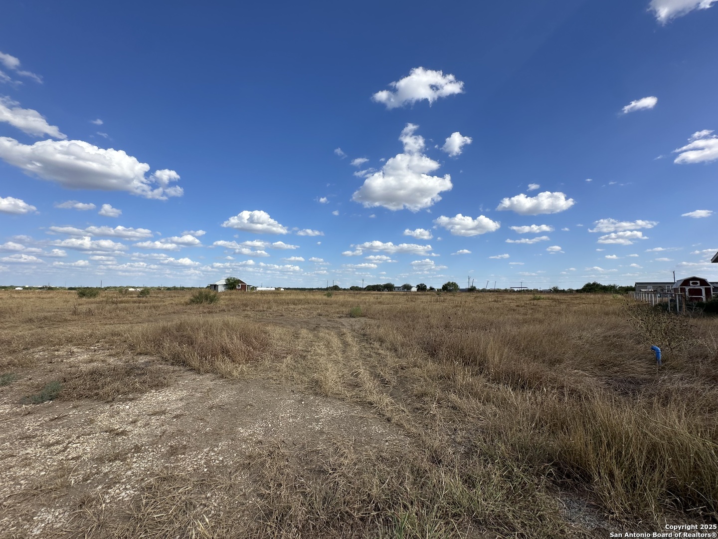 2267 Cr 430 Pleasanton TX 78064