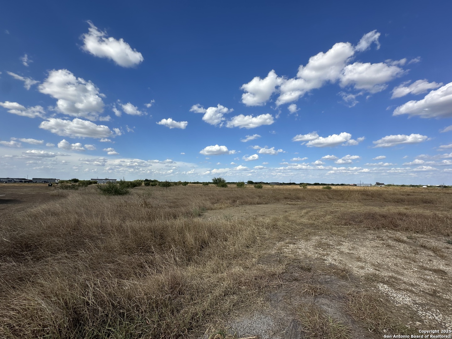 2267 Cr 430 Pleasanton TX 78064