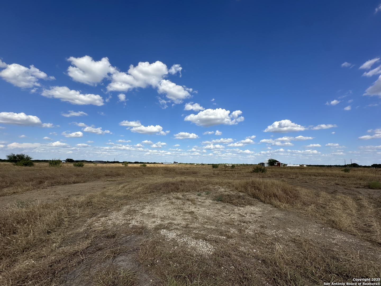 2267 Cr 430 Pleasanton TX 78064